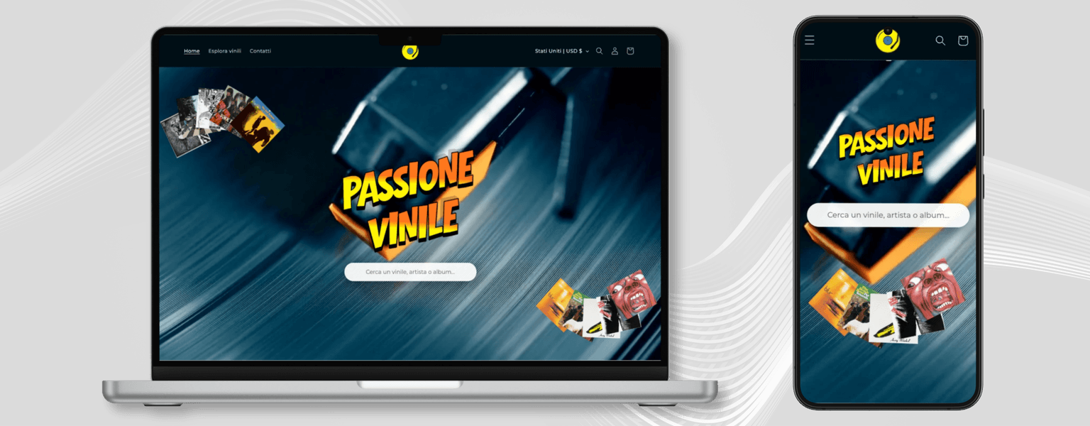 E-commerce Vinili
